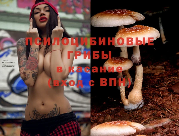герыч Алзамай